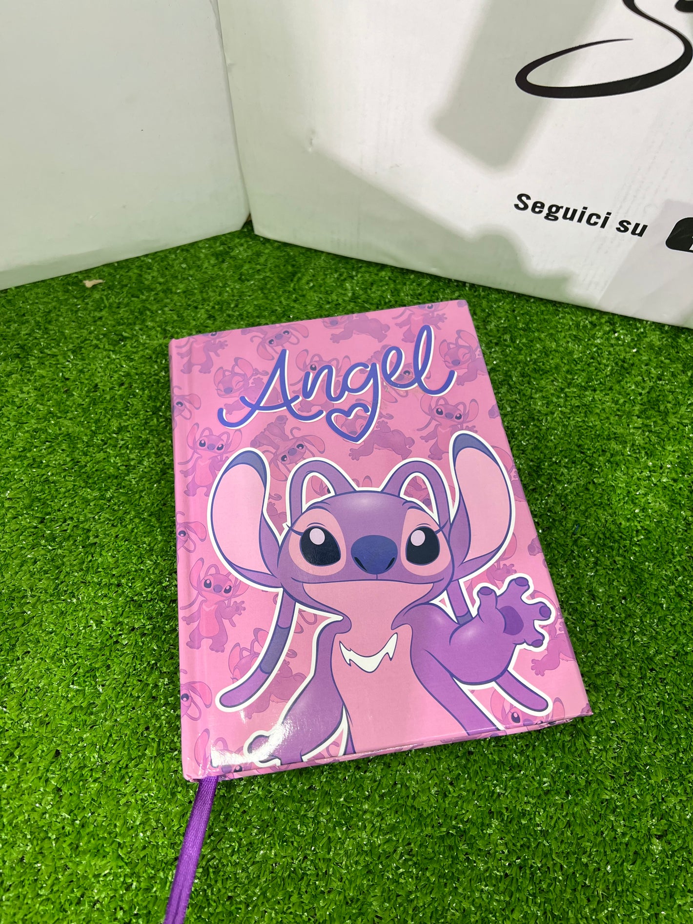 DIARIO ANGEL
