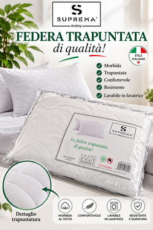 FEDERA TRAPUNTATA