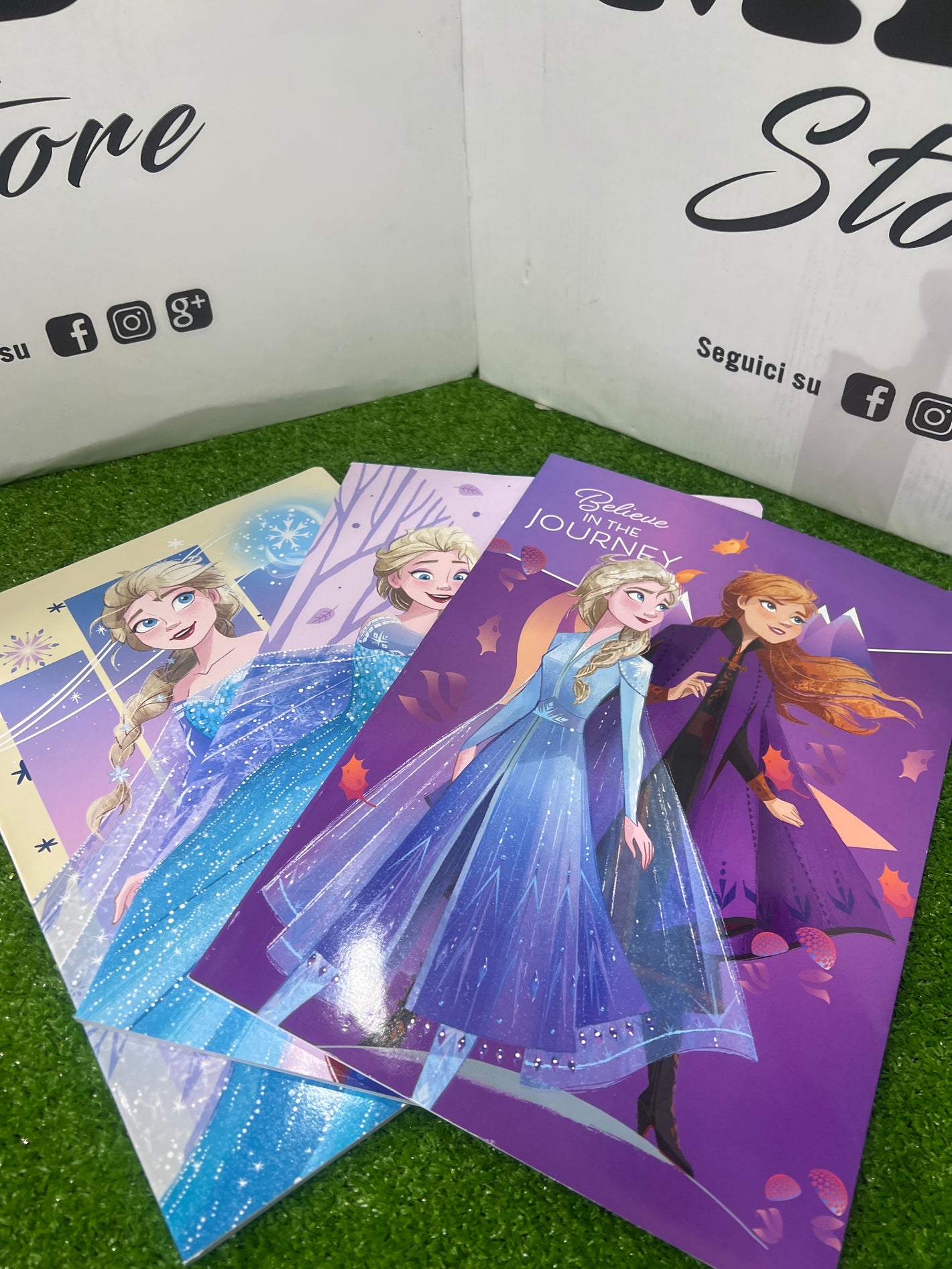 QUADERNO FROZEN MISTI