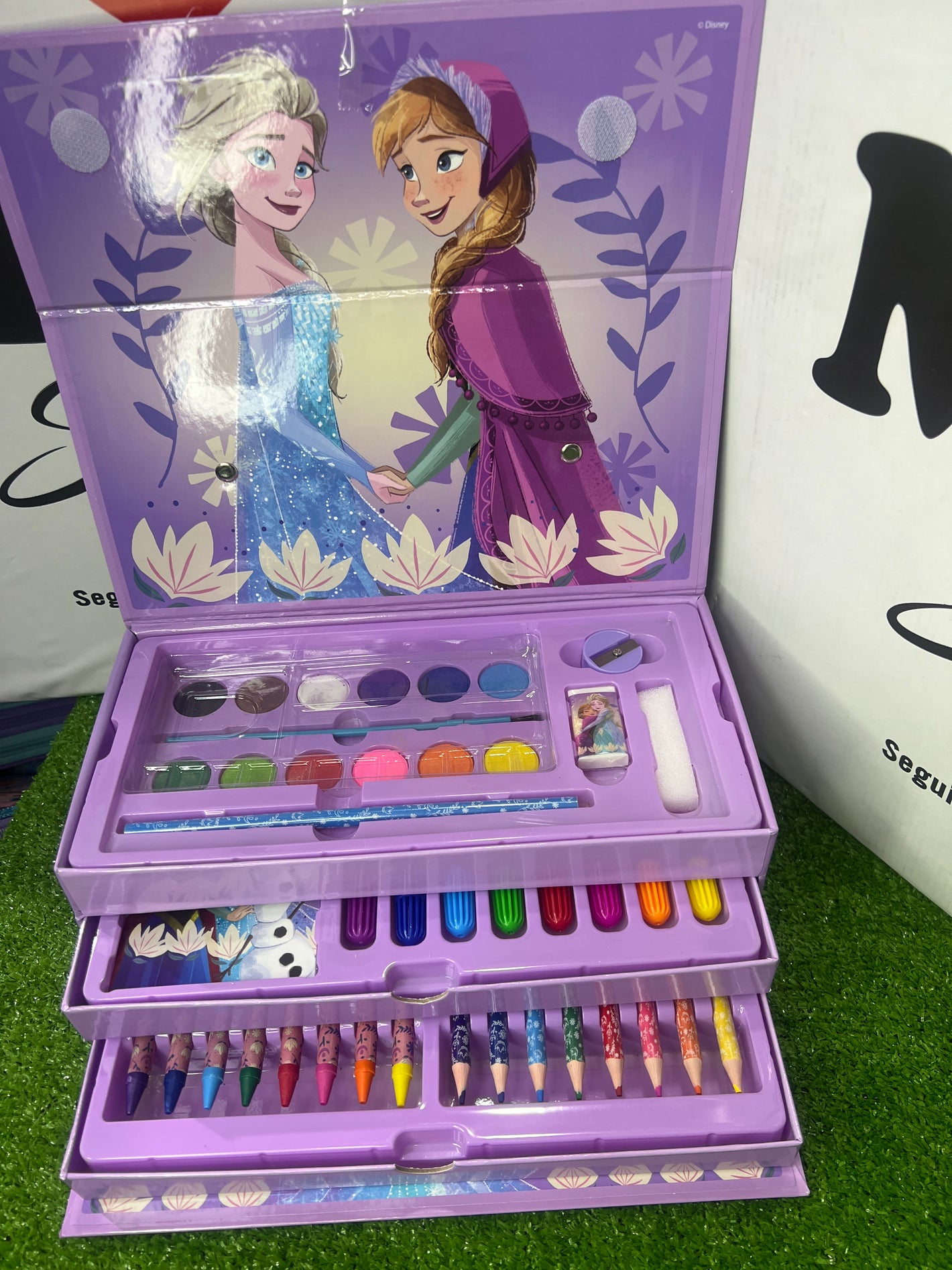 SET DA PITTURA FROZEN